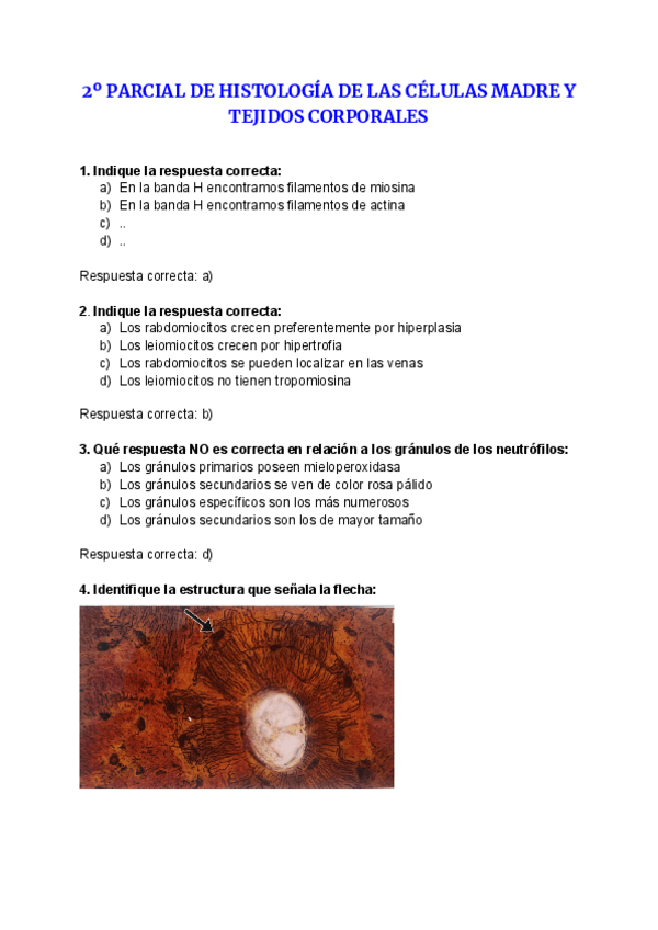 Miniatura del documento Recopilacion-evaluacion-continua.pdf