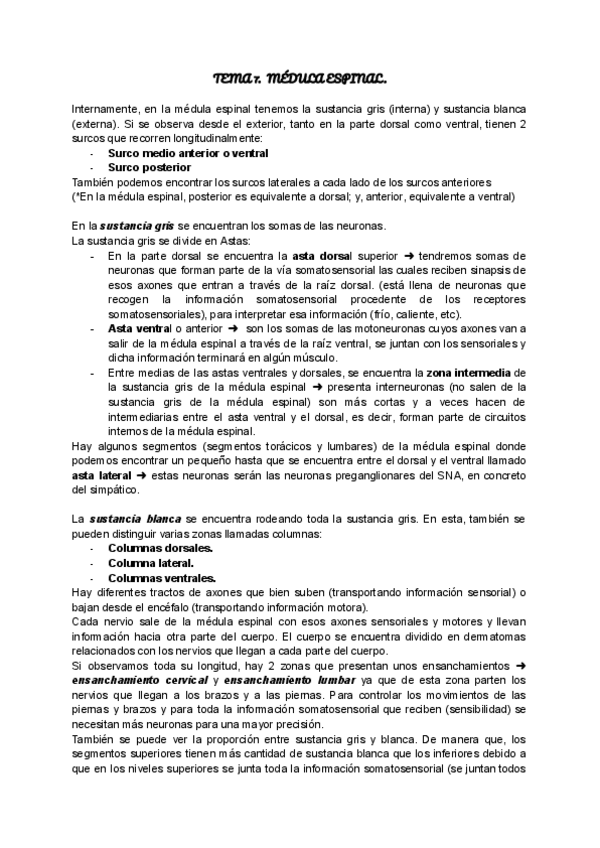 Miniatura del documento tema-7.pdf