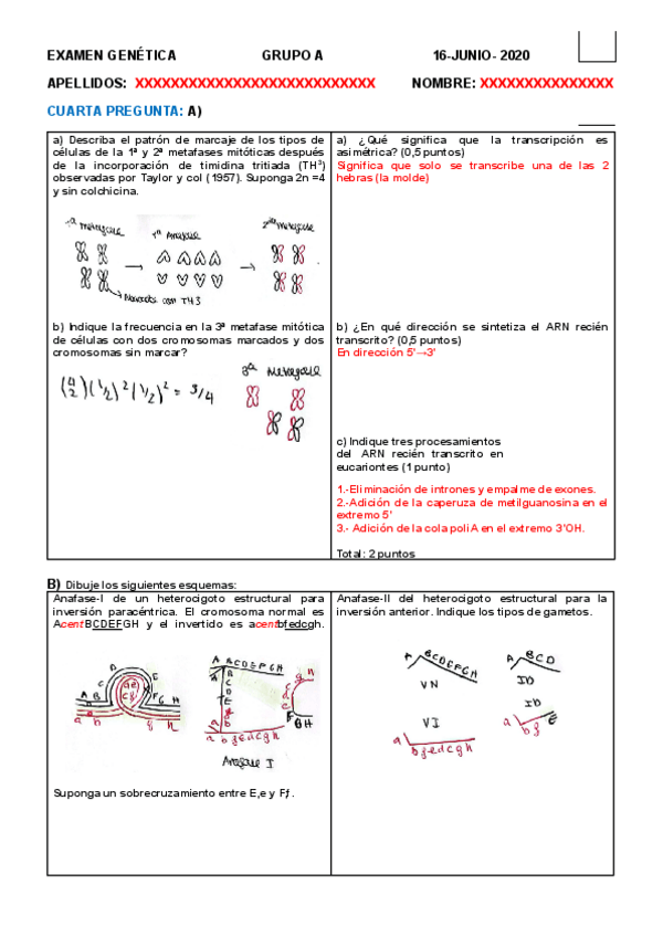 Miniatura del documento EXAMEN-GENETICA-JUNIO-2020-RESUELTO.pdf
