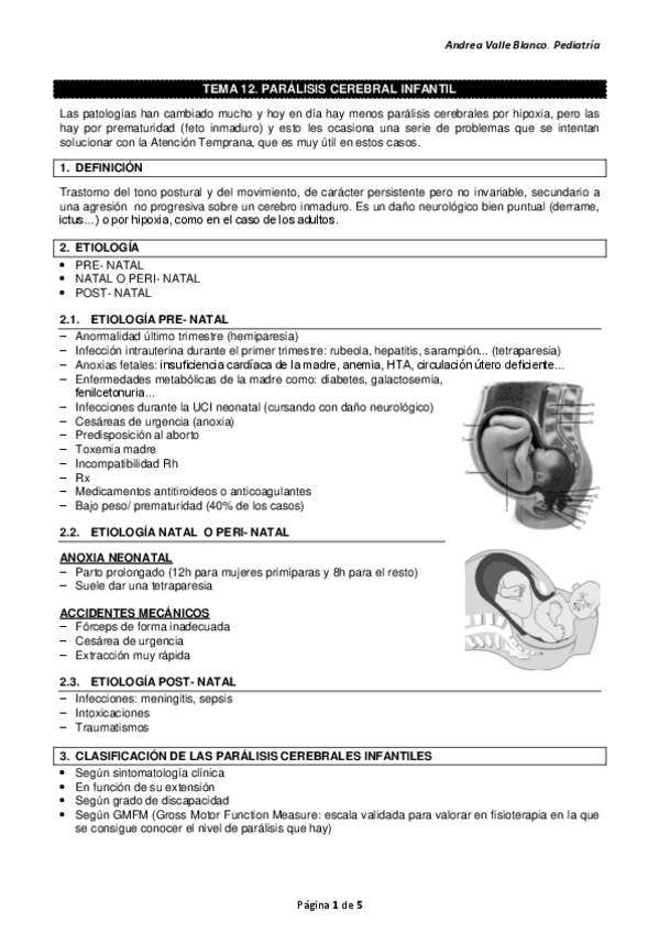 Miniatura del documento Tema-12.-PCI.pdf