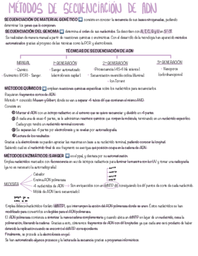 Miniatura del documento TEMA-18-BM.pdf