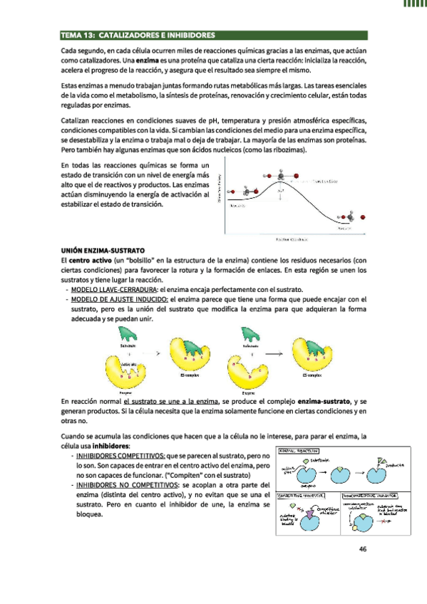 Miniatura del documento Enzimologia.pdf