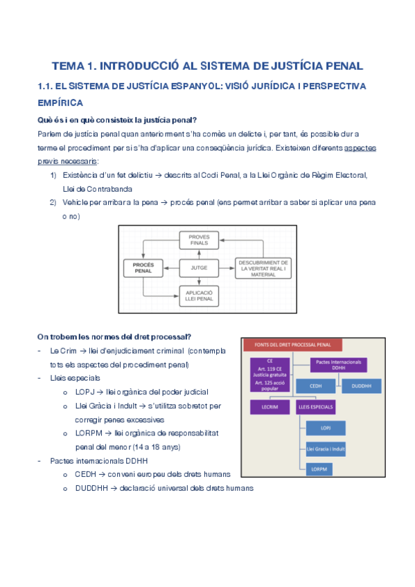 Miniatura del documento tema-1-sistema-penal.pdf