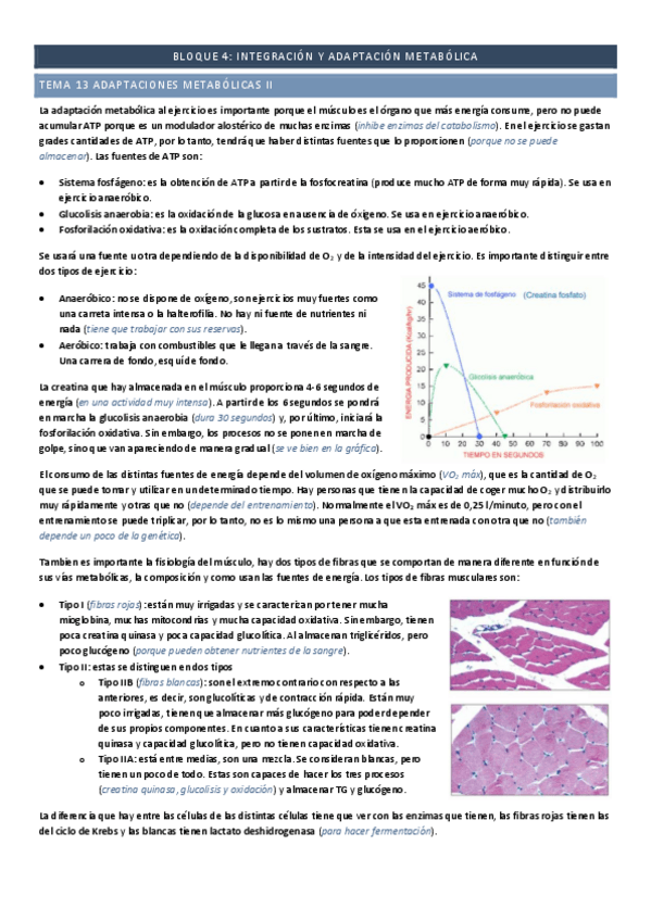 Miniatura del documento Tema-13-adaptaciones-metabolicas-II.pdf
