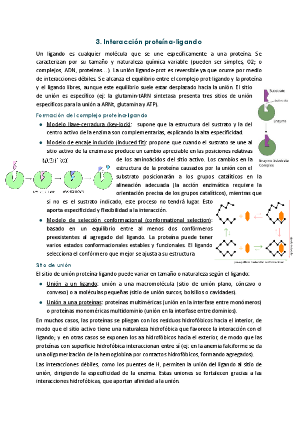 Miniatura del documento 3.-Interaccion-proteina-ligando.pdf