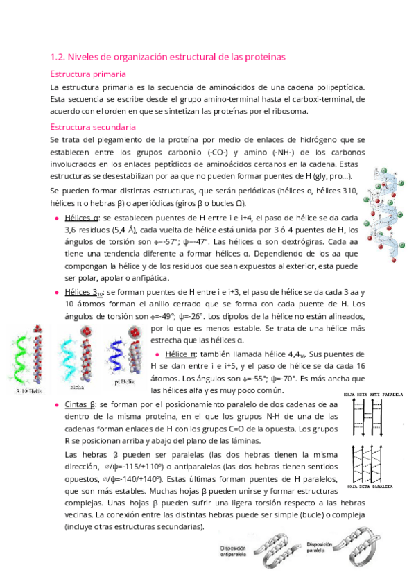 Miniatura del documento 1.2.-Estrcuturas-de-las-proteinas.pdf