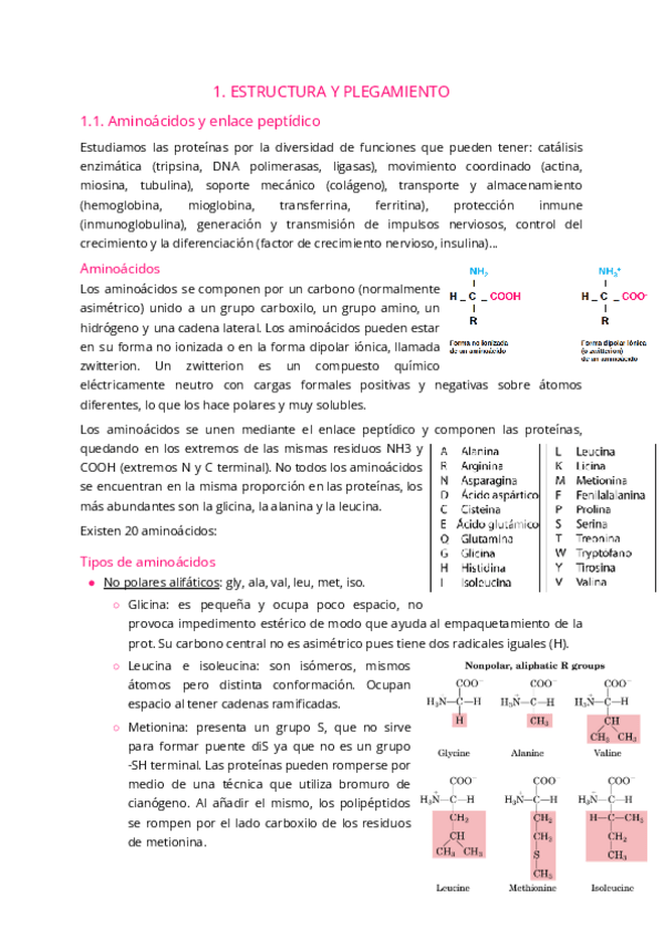 Miniatura del documento 1.1.-Aminoacidos-y-enlace-peptidico.pdf
