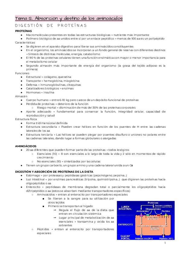 Miniatura del documento Bloque-5.pdf