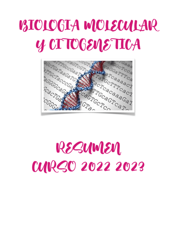 Miniatura del documento 00-BMC-Resumen-FINAL.pdf