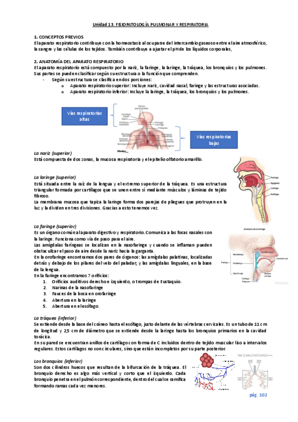 Miniatura del documento unidad-13.pdf