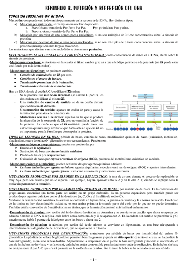 Miniatura del documento Seminario-8-Mutacion-y-Reparacion-del-NDA.pdf