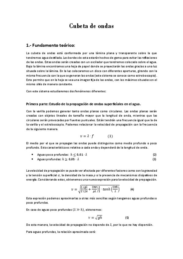 Miniatura del documento Cubeta-de-ondas-Nota-10.pdf
