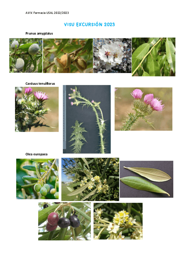 Miniatura del documento Visu-excursion-2023.pdf