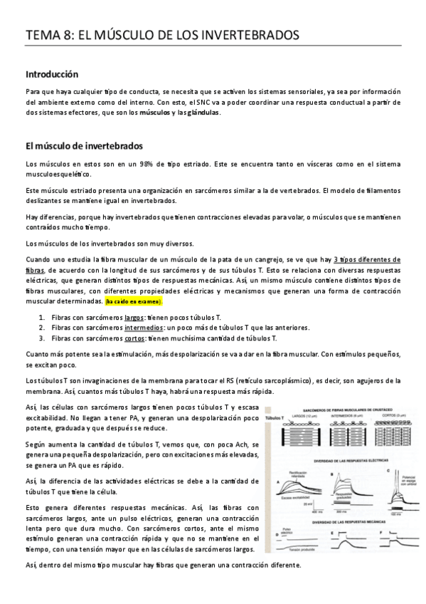 Miniatura del documento 8.-EL-MUSCULO-DE-LOS-INVERTEBRADOS.pdf