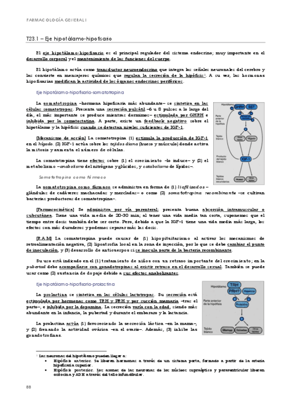 Miniatura del documento FG. T23-28. Cristina.pdf