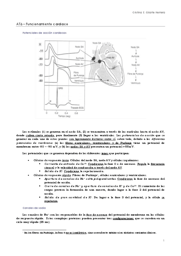 Miniatura del documento FG2. Anexo fisiología.pdf