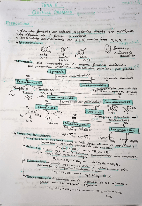 Miniatura del documento T6 Quimica Organica Resumen.pdf