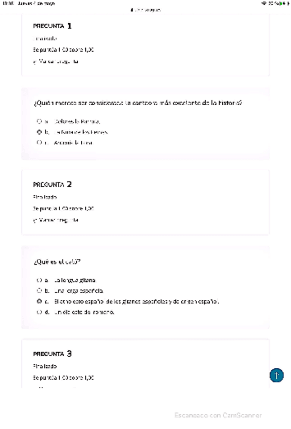Miniatura del documento Cuestionario-Final.pdf