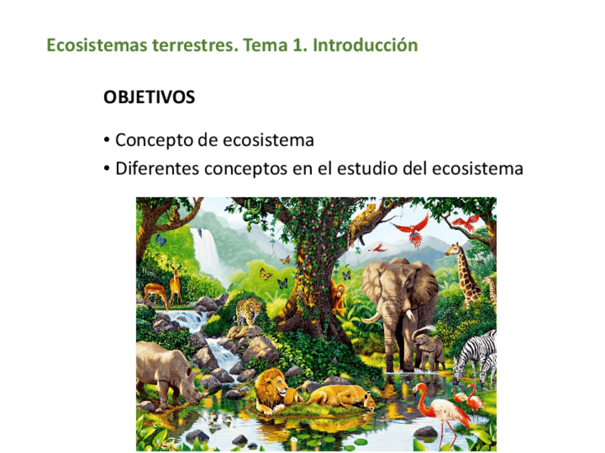Miniatura del documento Tema-1.Introduccion-entero.pdf