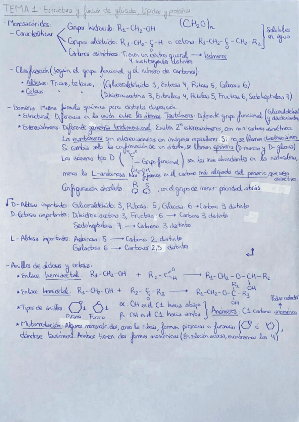 Miniatura del documento Bioquimica-Tema-1.Estructura-y-funcion-de-glucidos-lipidos-y-proteinas.pdf