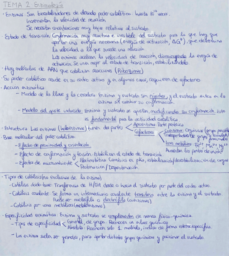 Miniatura del documento Bioquimica-Tema-2.Enzimologia.pdf