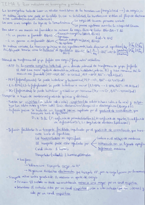 Miniatura del documento Bioquimica-Tema-5.Bases-moleculares-de-bioenergetica-y-metabolismo.pdf