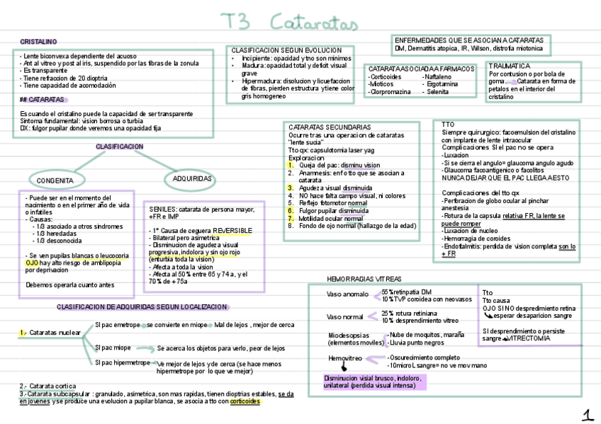 Miniatura del documento OftalmoIRE-T3-Al-17.pdf