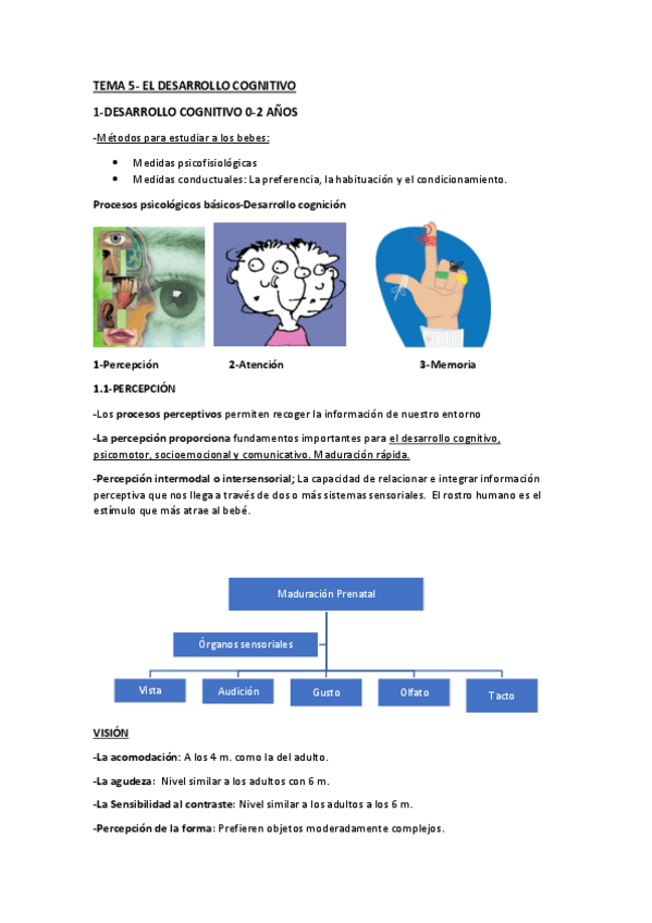 Miniatura del documento TEMA-5-PSICOLOGIA.pdf