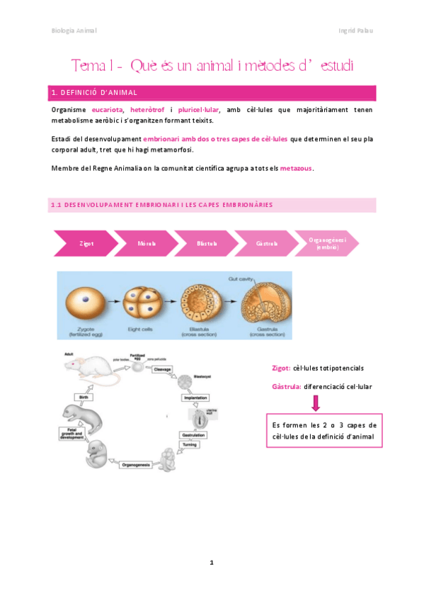 Miniatura del documento Apuntes-Zoologia-def.pdf