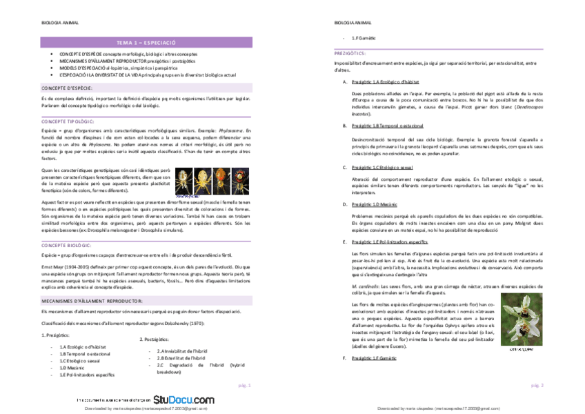 Miniatura del documento zoo.pdf