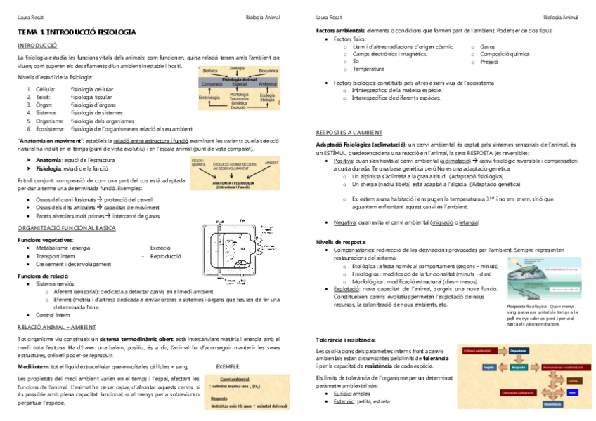 Miniatura del documento fisio.pdf