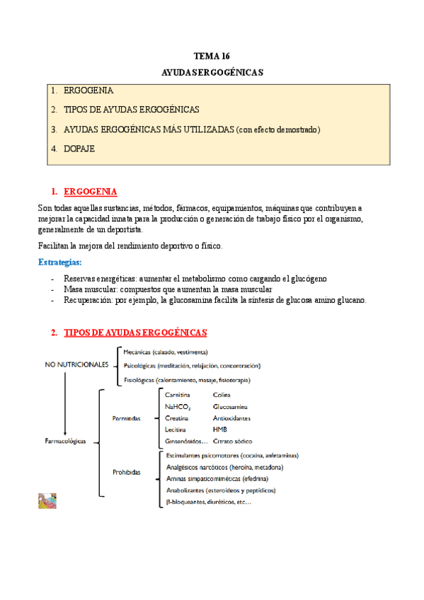 Miniatura del documento TEMA-16-AYUDAS-ERGOGENICAS.pdf