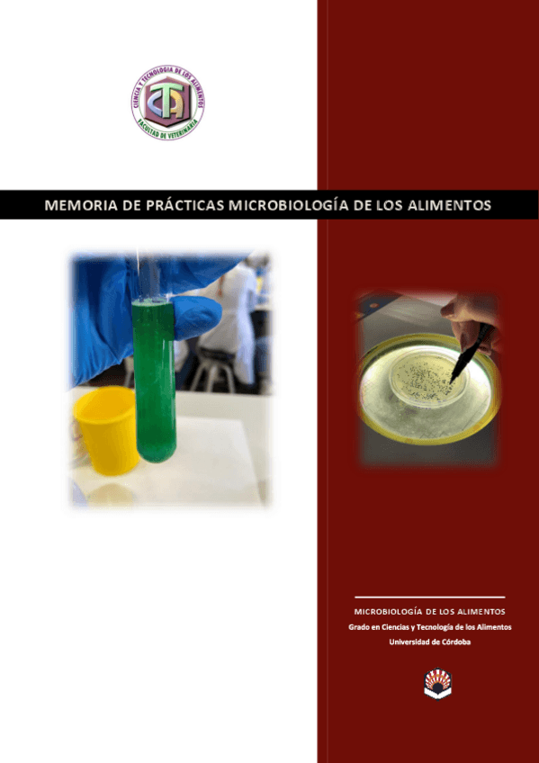 Miniatura del documento MEMORIA-MICROBIOLOGIA-DE-LOS-ALIMENTOSLORENA-RUIZ-RODRIGUEZ.pdf