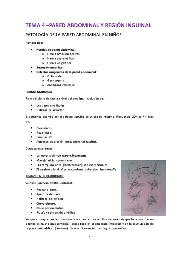 Miniatura del documento 4.-Patologia-quirurgica-de-la-pared-abdominal.pdf