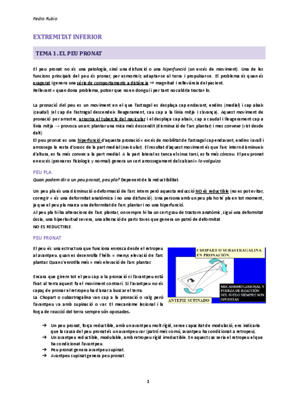 Miniatura del documento TOT-FECLAL.pdf
