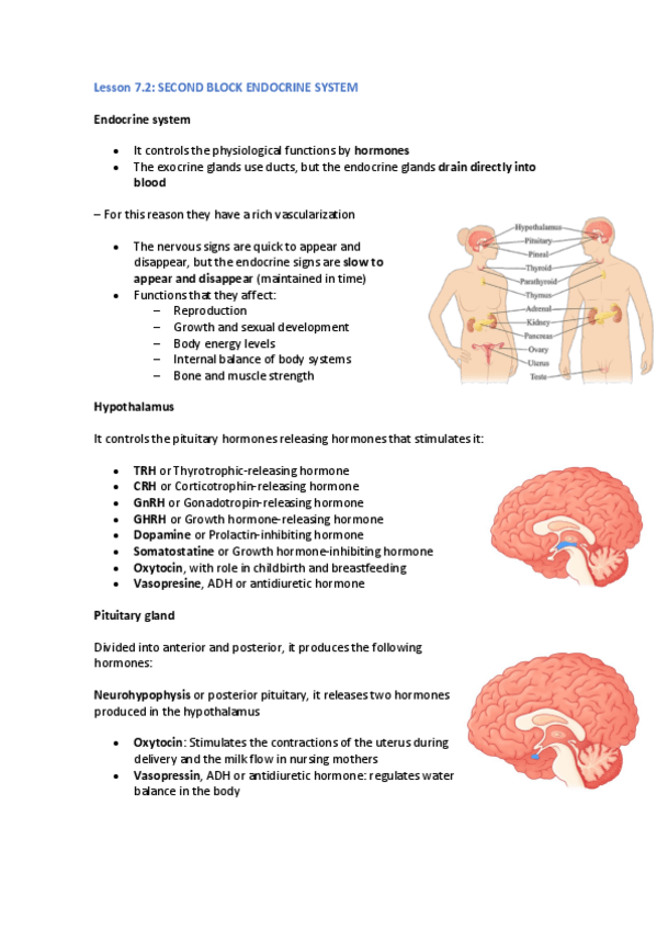 Miniatura del documento Lesson-8.pdf