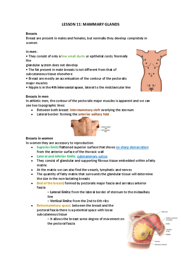 Miniatura del documento Lesson-11.pdf