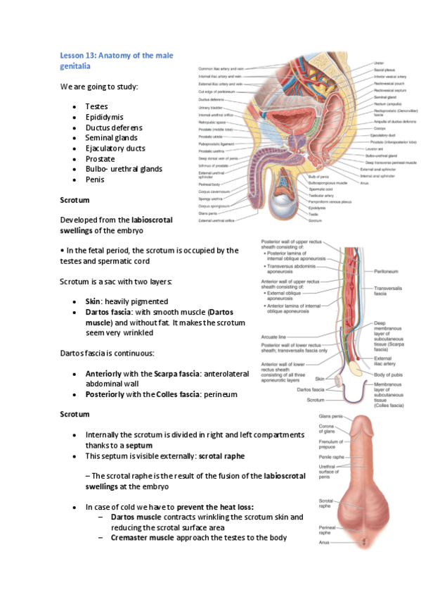 Miniatura del documento Lesson-13.pdf