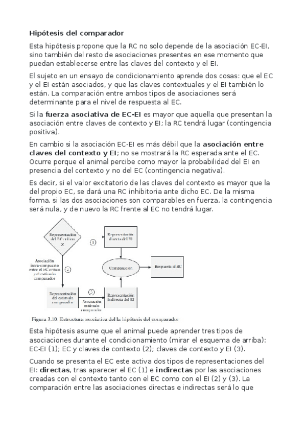 Miniatura del documento Hipotesis-del-comparador.pdf