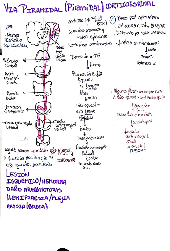 Miniatura del documento CamScanner-01-04-2023-22.30.jpg