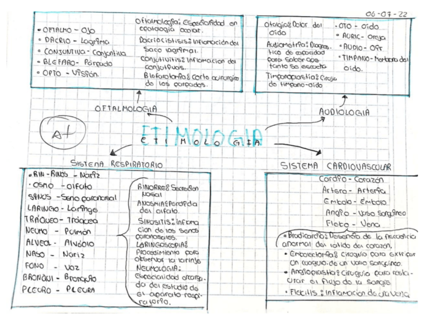 Miniatura del documento ETIMOLOGIA-DE-SISTEMAS.pdf