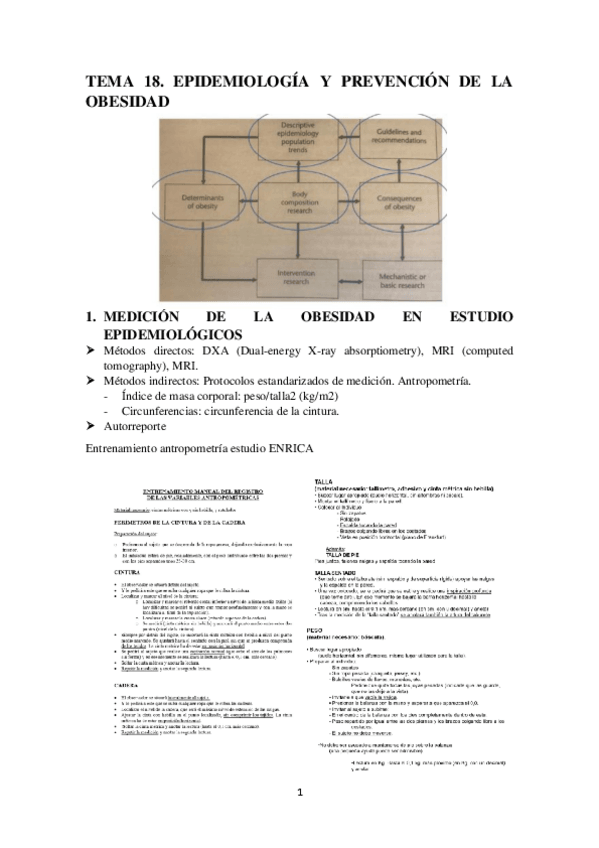 Miniatura del documento TEMA-18.-OBESIDAD.pdf