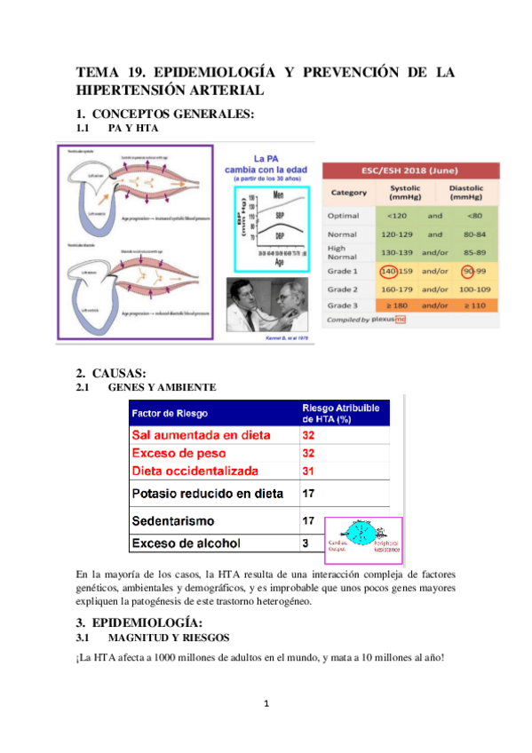 Miniatura del documento TEMA-20.-HTA.pdf