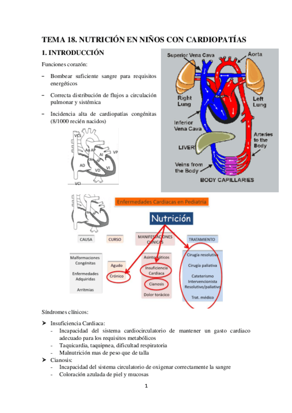Miniatura del documento TEMA-18.-NUTRICION-EN-NINOS-CON-CARDIOPATIAS.pdf