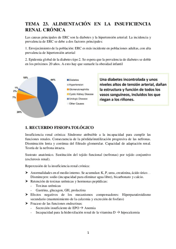 Miniatura del documento TEMA-23.-ALIMENTACION-EN-LA-INSUFICIENCIA-RENAL-CRONICA.pdf