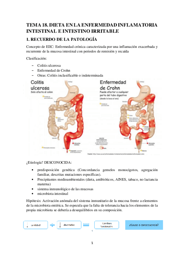 Miniatura del documento TEMA-18.-DIETA-EN-LA-ENFERMEDAD-INFLAMATORIA-INTESTINAL-E-INTESTINO-IRRITABLE.pdf