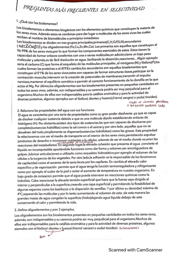 Miniatura del documento PREGUNTAS-SELECTIVIDAD-CORREGIDAS.pdf