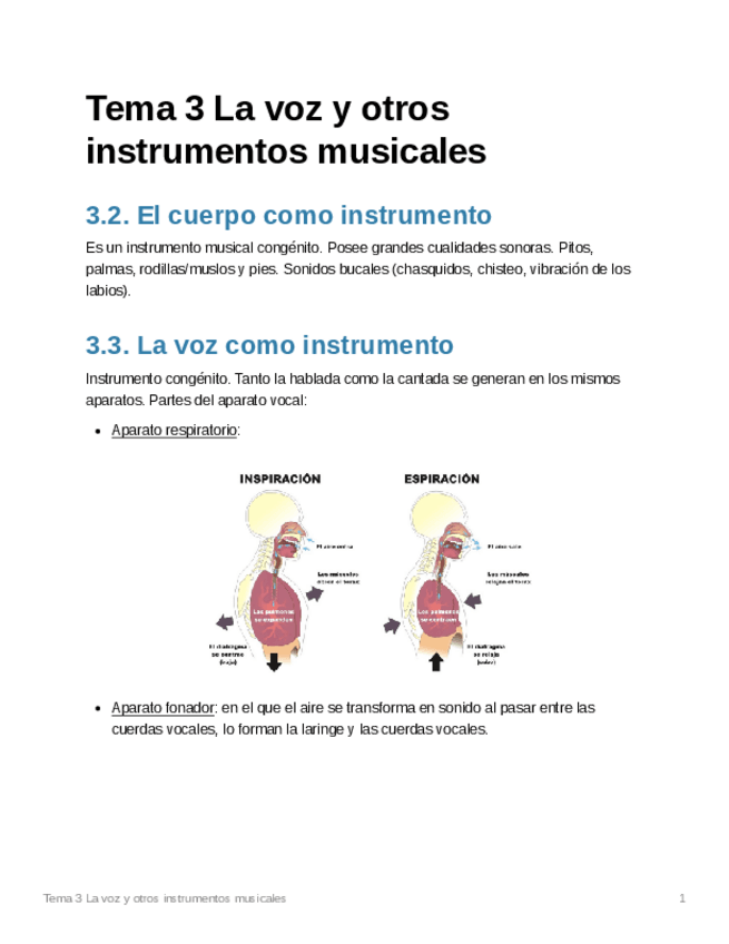 Miniatura del documento 623378bc-6082-4398-9bfe-4b6964240ee2Tema3Lavozyotrosinstrumentosmusicales.pdf