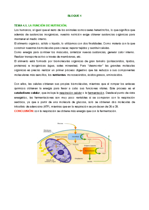 Miniatura del documento Naturales-T-4.pdf