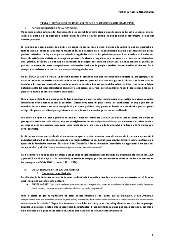Miniatura del documento Responsabilidad-civil.pdf